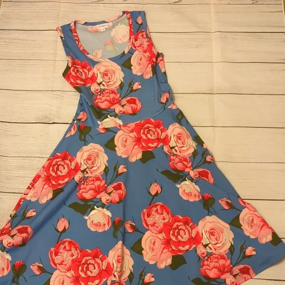 LuLaRoe Dresses Lularoe Nikki Dress With Pockets Blue With